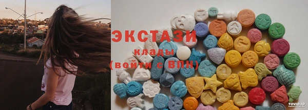 прущие грибы Каменка