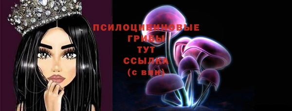 кокс Инта