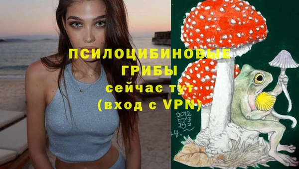 MDMA Инсар