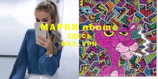 прущие грибы Каменка