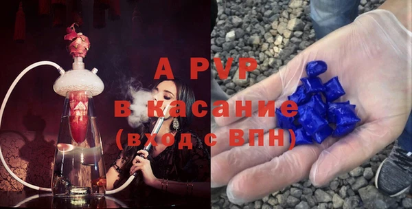 прущие грибы Каменка